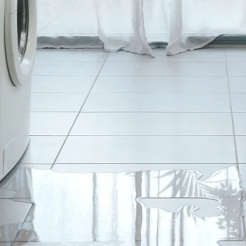 Appliance Leak Cleanup in Crandall, TX