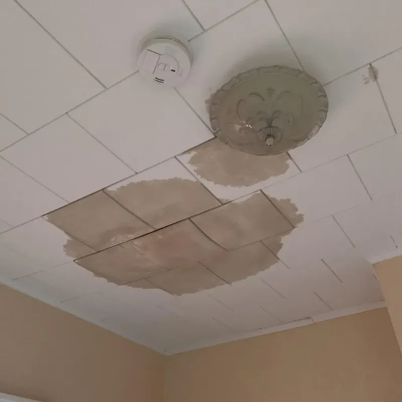 Ceiling Water Damage Repair in Crandall, TX