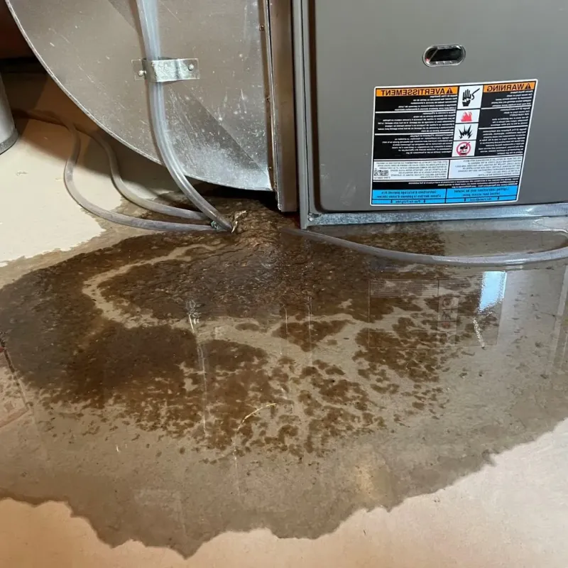 Pipe Burst and Leak Restoration in Crandall, TX